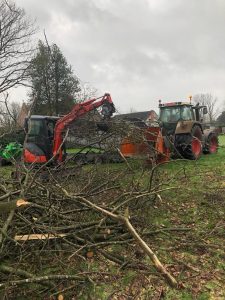 bomen snoeien
